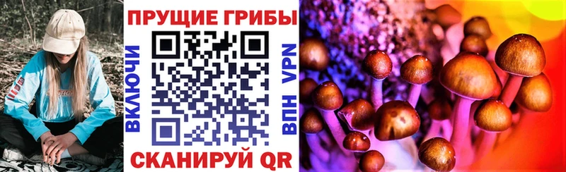 hydra ТОР цены наркотик Кимовск Псилоцибиновые грибы MAGIC MUSHROOMS